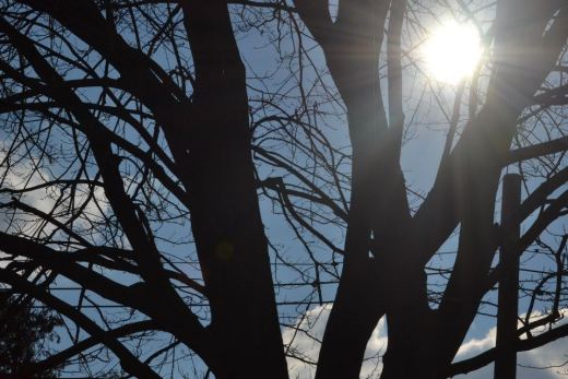 421047_544354312241519_1371805414_n